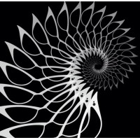 Surreal Eyewear logo - Similar company to Additive Solution Llc