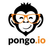 Pongo.io logo - Similar company to Playtouch