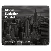 Global Evolution Capital logo - Similar company to Dealside