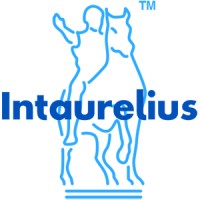 Intaurelius logo - Similar company to Murge E-Commerce Inc.