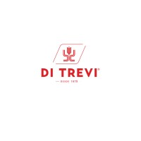 Alimentos Di Trevi Limitada logo - Similar company to Alifrut Sl
