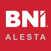 BNI Alesta - Türkiye logo - Similar company to Psi̇kodoor