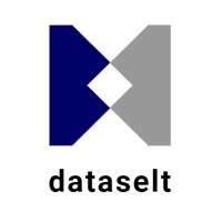 Dataselt logo - Similar company to Intoix Technologies