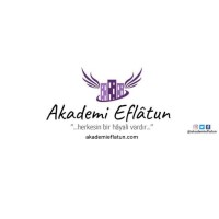 T.C. MEB AKADEMİ EFLATUN logo - Similar company to Stüdyo Akademi