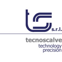 TecnoScalve logo - Similar company to Comall - Pesavento S.R.L.