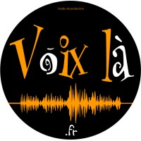 VOIX LA PRODUCTION logo - Similar company to Odysound