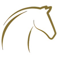 GoldenHorse Media logo - Similar company to Click Digital Solutions