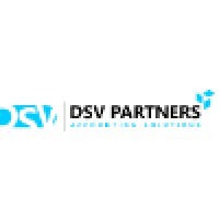 DSV Partners logo - Similar company to Kristallis Accounting