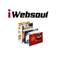 iWebsoul - Intrepid Websoul Pvt. Ltd. logo - Similar company to Candid Technologies