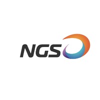 NGS Holdings logo - Similar company to Faskera