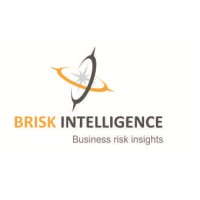 BRISK INTELLIGENCE logo - Similar company to Prg Tech Private Limited