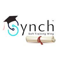 Synch Soft Training Wing logo - Similar company to Cyberhead Studios