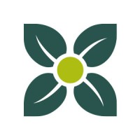 Green Box logo - Similar company to Repaq - Compostable Packaging