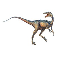 TROODON MEDIA logo - Similar company to Adgimbal