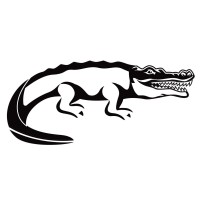 The Flying Crocodile logo - Similar company to Algonell