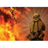 Fire Dept