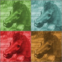 Heritage Science Online Forum logo - Similar company to E-Rihs