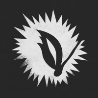 Fósforo Filmes logo - Similar company to Ness