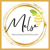 Melse S.A logo - Similar company to Flipando