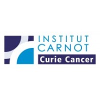 Carnot Curie Cancer logo - Similar company to Fremover As