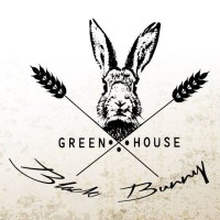 Black Bunny logo - Similar company to Black Bunny Media