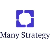 Many Strategy logo - Similar company to Asp Global Technologies, Llc