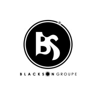 BlackSon Courier & Logistics Ltd. logo - Similar company to Alpha Global Freight Services Ltd.