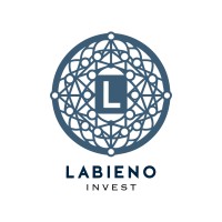 Labieno Invest logo - Similar company to Datumbi
