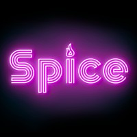 Spice Startups logo - Similar company to Consulting Hive