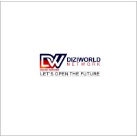 Diziworld Network Pvt Ltd logo - Similar company to Secure Network Traffic