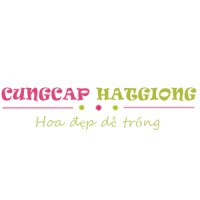 Công Ty Tnhh Nhanh Thật Nhanh