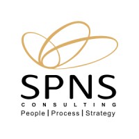 SPNS CONSULTING logo - Similar company to Spns Consulting