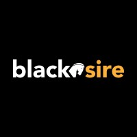 Blacksire logo - Similar company to Tri7 Solutions Inc.