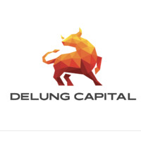 Delung Capital logo - Similar company to Bollard Group, Llc