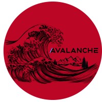 Avalanche Adventures