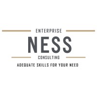NESS ENTERPRISE CONSULTING logo - Similar company to Ness Consulting