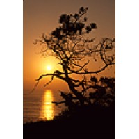 Golden State Images