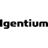 Igentium Sterner Group