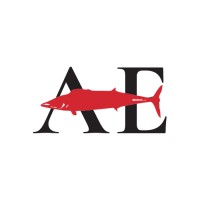 Alderman Enterprises logo - Similar company to Bohr Electronics