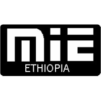 Mesfin Industrial Engineering Private limited company (MIE) logo - Similar company to Kerefa Solution