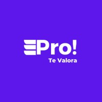 PRO! HR Consulting logo - Similar company to Sapháros