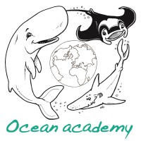Ocean Academy logo - Similar company to Seinformercancer