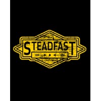Steadfast Energy Services logo - Similar company to Sundown Tubing Testing