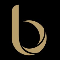 Burj Financial Services logo - Similar company to Max Outsourcing