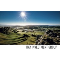 Bay Investment Group Limited logo - Similar company to Back Bay Investment Group