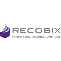 Recobix logo - Similar company to Banjército