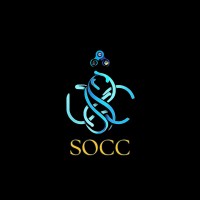 SOCC-KLEF logo - Similar company to Google Developer Groups On Campus K L University