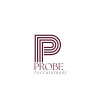 Probe Recruitement logo - Similar company to Lsu Inc.