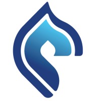 Spirit Works AI logo - Similar company to Datapragmia