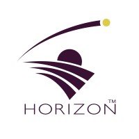 Horizon Management Group logo - Similar company to Horizon Management Services, Inc.